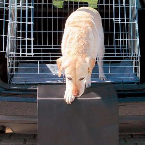 Trixie Bumper Guard - Beskytter bilens kofanger